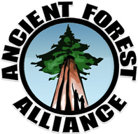 Anicent Forest Alliance