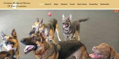 Welcome German Shepherd Rescue of East TN (GSRET)